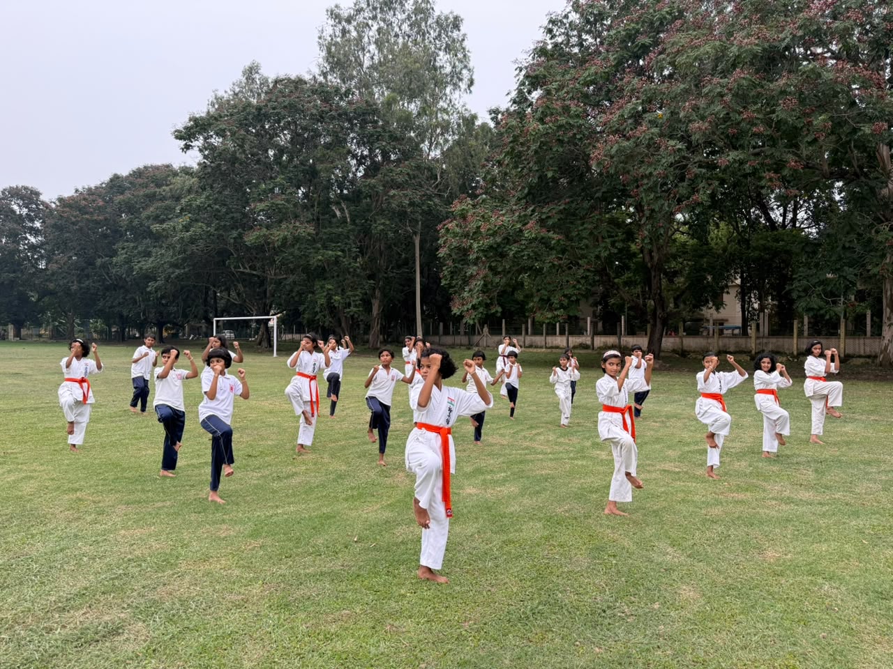 Karate 1